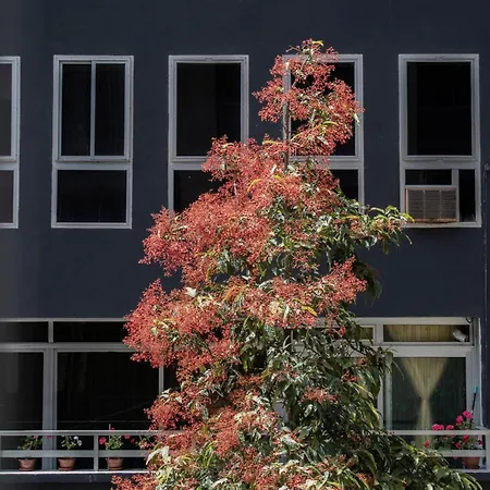 Rejon Hideaway B By Canariasgetaway Dom wakacyjny Las Palmas de Gran Canaria