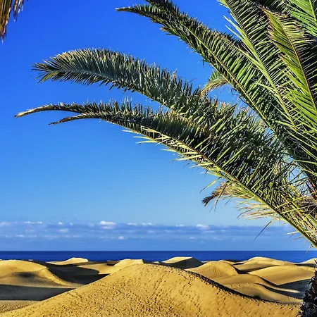 Rejon Hideaway B By Canariasgetaway Holiday home Las Palmas de Gran Canaria