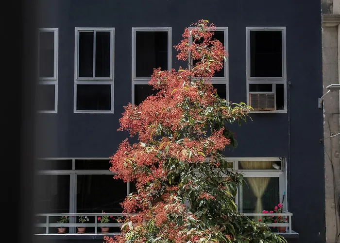 Rejon Hideaway B By Canariasgetaway 度假居 大加那利岛拉斯帕尔马斯